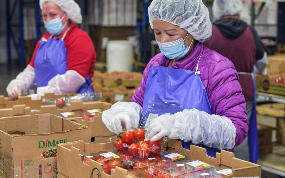 How to Get Started in Food Packing: A Practical Guide for New Workers