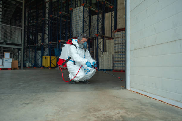 Emergency Pest Removal: Fast Solutions When You Need Them Most