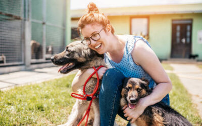 Adopción de Mascotas: Darle una Segunda Oportunidad a un Animal que Necesita un Hogar