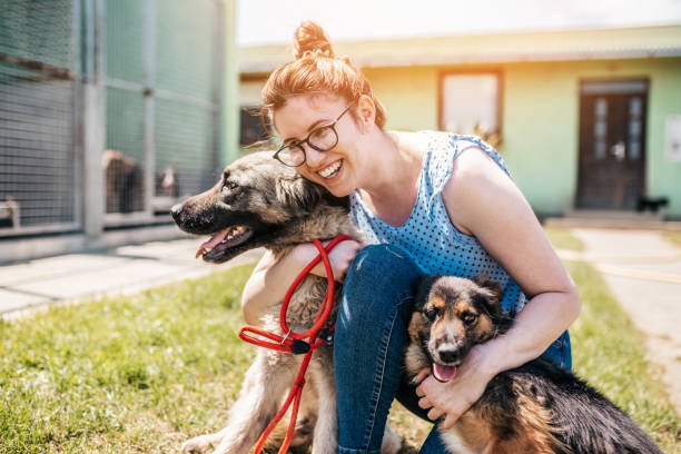 Adopción de Mascotas: Darle una Segunda Oportunidad a un Animal que Necesita un Hogar