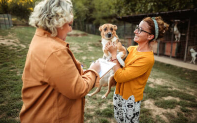 Pet Adoption: Giving a Loving Animal a Second Chance