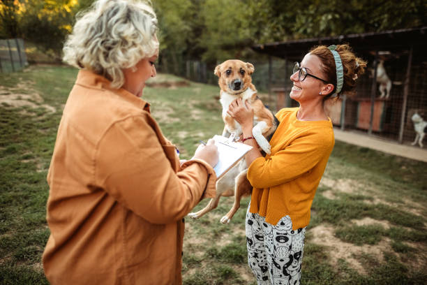 Pet Adoption: Giving a Loving Animal a Second Chance